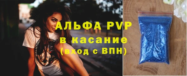 спиды Инсар
