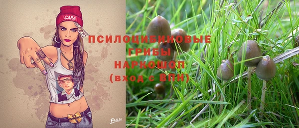 мет Иннополис