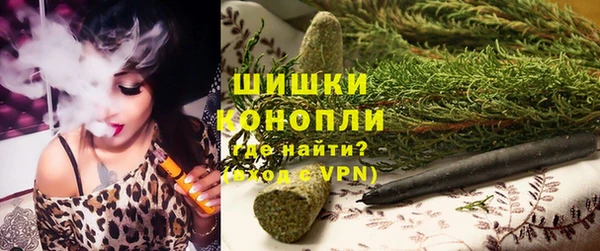 спиды Инсар
