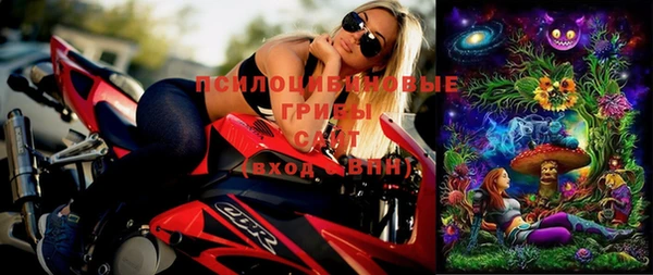 спиды Инсар