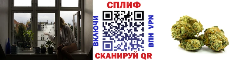 Конопля MAZAR  Купить  Ворсма 